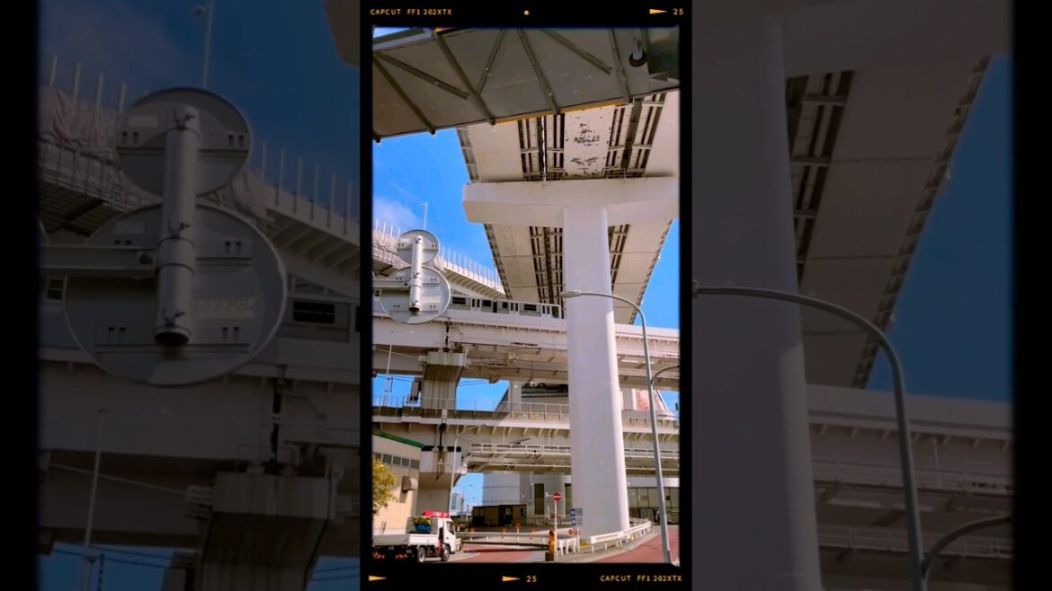 Late summer in Tokyo #tokyo #japan #travel #traveling #adventure #explore #japantravel #japanvlog