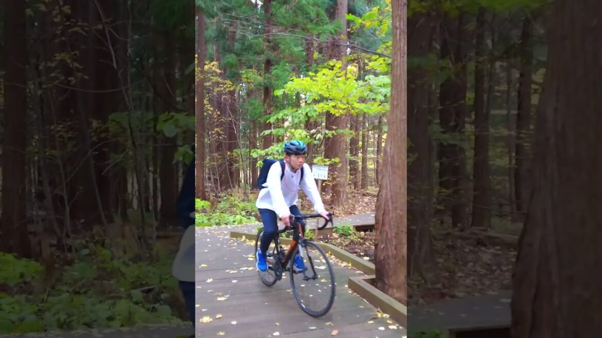 Maruyama Forest Japan #travel #discoverjapan Maruyama Forest Japan #travel #discoverjapan