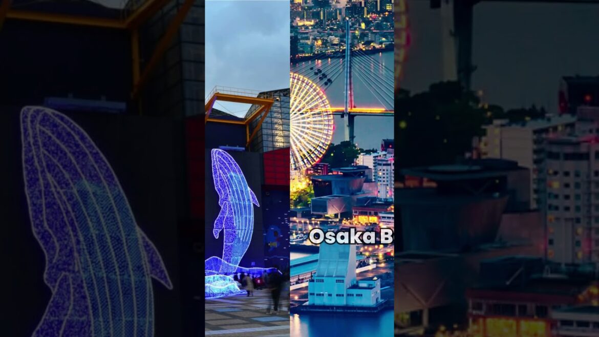 Top 10 Places to Visit in Osaka for Millennials