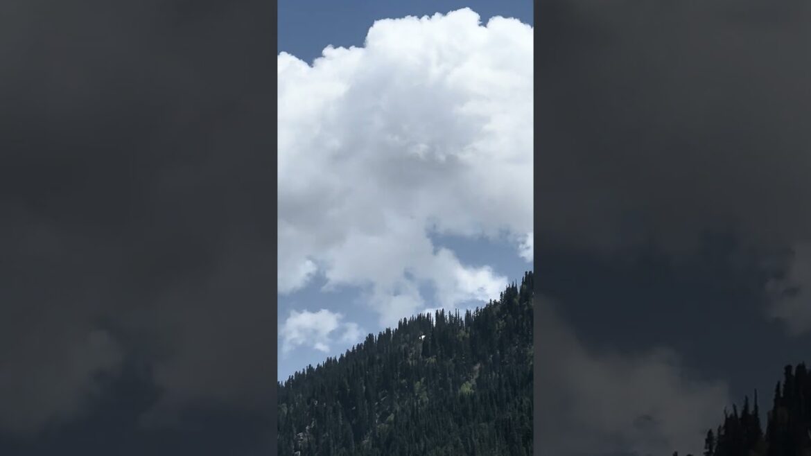 Live, dream and travel #hindi #travel #motivation Live, dream and travel #hindi #travel #motivation