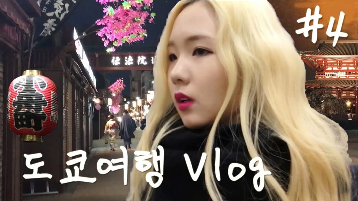 일본 도쿄 여행 브이로그 4편 | 6일차 | 아사쿠사 신소지, 아키하바라 | Tokyo Vlog | Paradise Maker 해안 일본 도쿄 여행 브이로그 4편 | 6일차 | 아사쿠사 신소지, 아키하바라 | Tokyo Vlog | Paradise Maker 해안