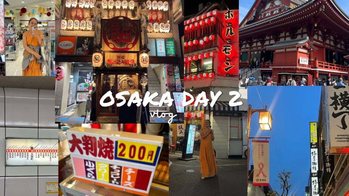 OSAKA: I LOST ALL MY MONEY ON GAMES! PORN STORES AND MORE! #OSAKA #tokyo