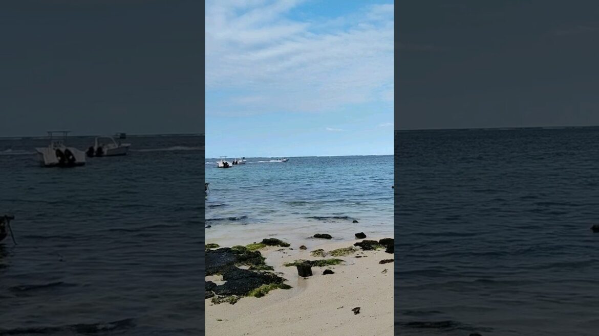 Belle Marre Beach Boating | swimming | diving #shorts #mauritius #utube
