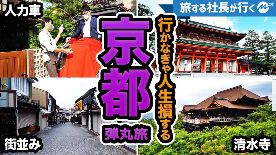 日帰り京都観光42歳ひとり旅。おすすめスポットを巡ったら最高すぎた！VLOG【旅行・グルメ・清水寺】