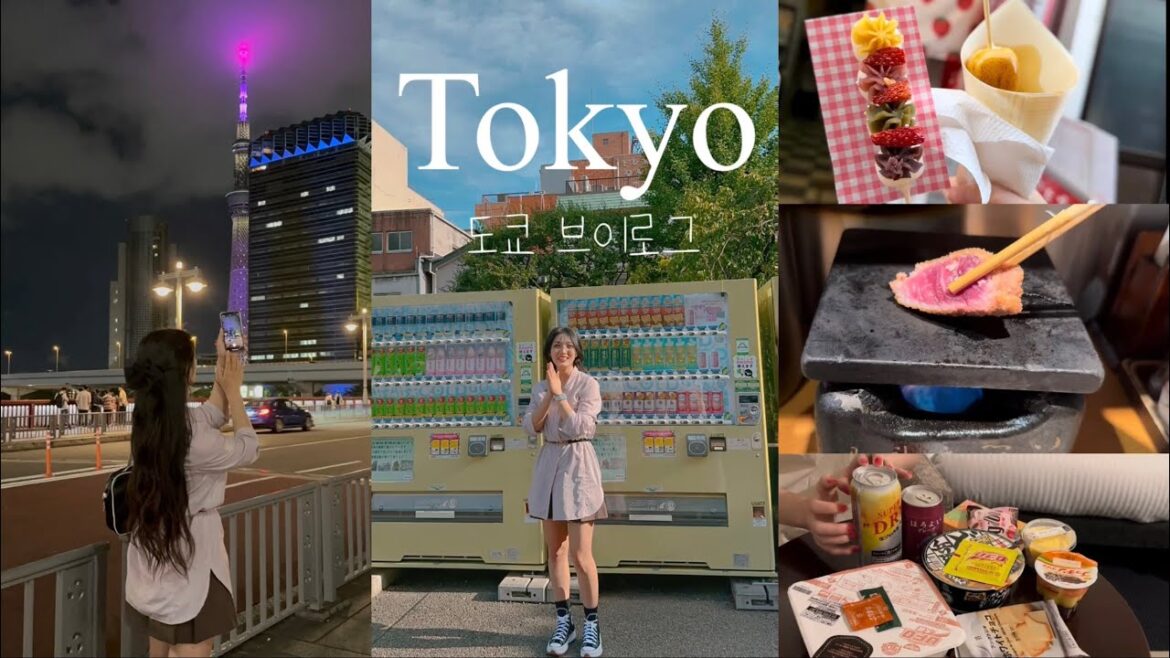 3박4일 도쿄 여행 🇯🇵 | 맛집인데 추천하지 않는 곳 | 정보공유 | 아사쿠사 맛집 | 편의점 음식 추천 | 세븐뱅크 출금방법 | tokyo vlog | 스티커사진 3박4일 도쿄 여행 🇯🇵 | 맛집인데 추천하지 않는 곳 | 정보공유 | 아사쿠사 맛집 | 편의점 음식 추천 | 세븐뱅크 출금방법 | tokyo vlog | 스티커사진