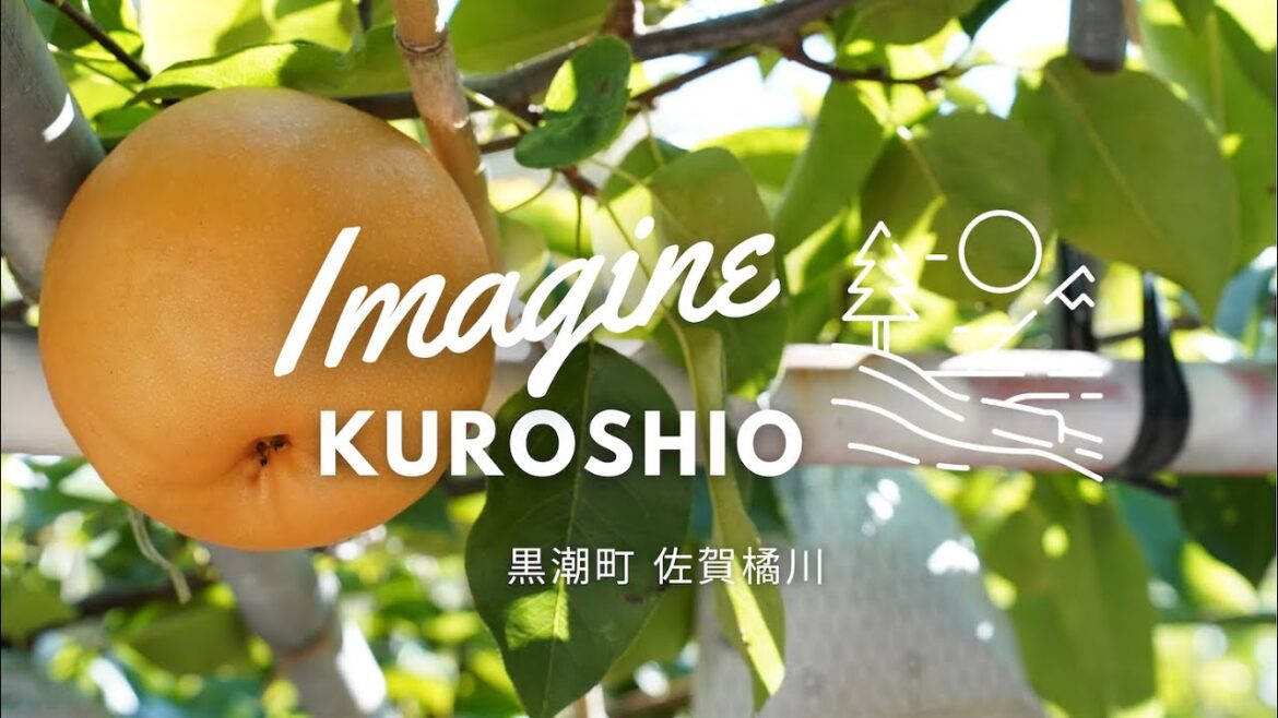 ImagineKuroshio 〜 秋の訪れを感じる風景 - 佐賀橘川 2023年10月 Relaxation Film from Kochi Japan