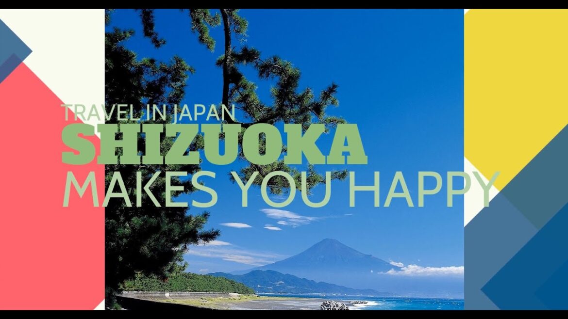 Experience Shizuoka: Cycling, Temples, and Majestic Fuji Views! -LIVE JAPAN