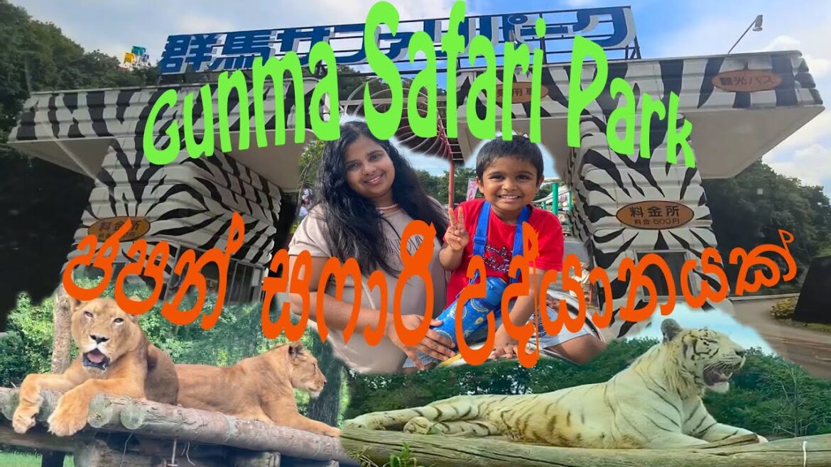 Japan Safari Park (Gunma Safari Park)