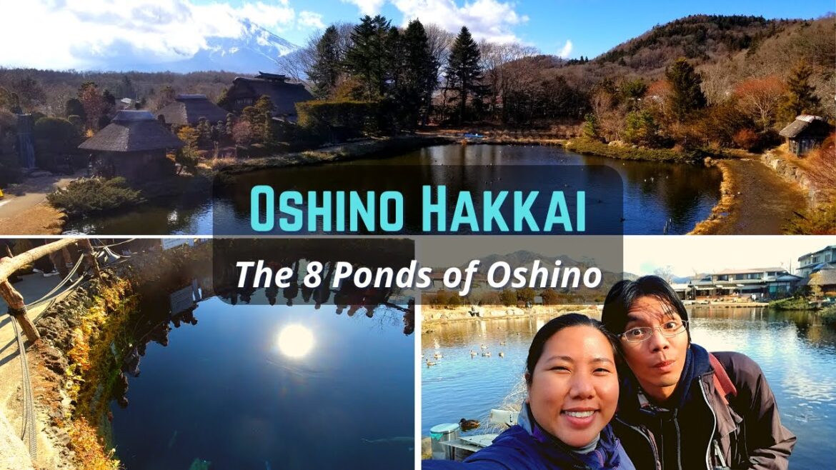 Japan Travel Vlog #5: Oshino Hakkai (忍野八海)