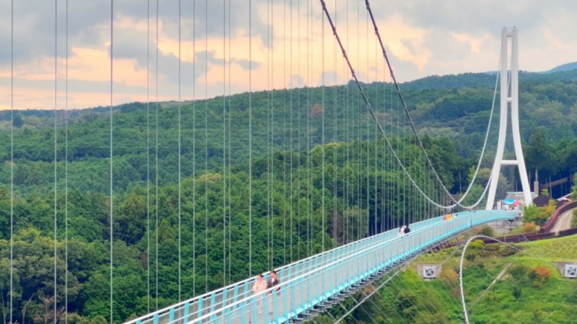 Nature Escape in Mishima: Riverside stroll and Skywalk adventure.🗻