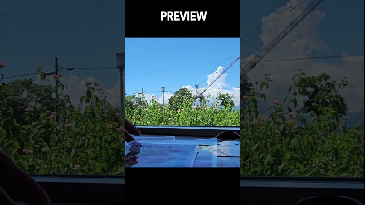 [Preview] A shizuoka cafe recommended by a local old lady #food #japan #travel #vlog #shorts