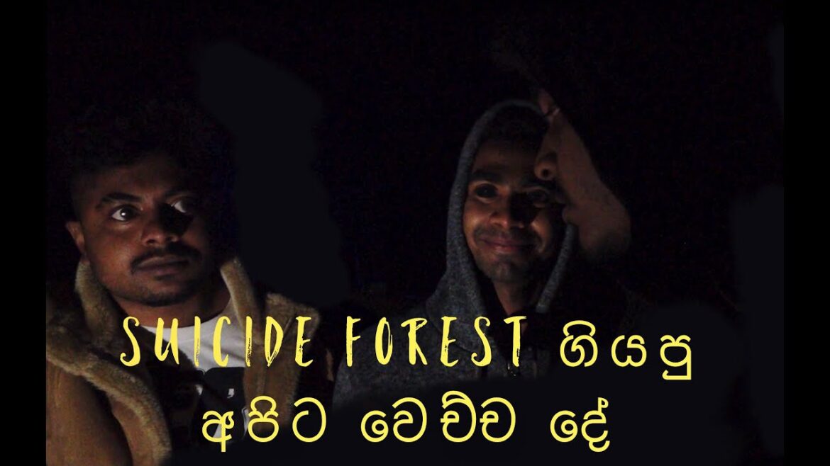 suicide forest japan/මරණයට ගිය ගමනක් suicide forest japan/මරණයට ගිය ගමනක්