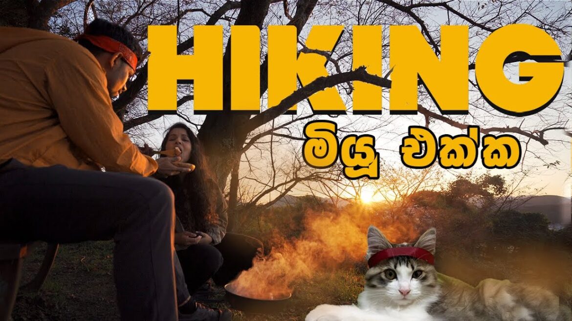 එන්න අපිත් එක්ක අතරමං වෙන්න 😫 Hiking | HILL IN THE MIDDLE OF THE CITY එන්න අපිත් එක්ක අතරමං වෙන්න 😫 Hiking | HILL IN THE MIDDLE OF THE CITY