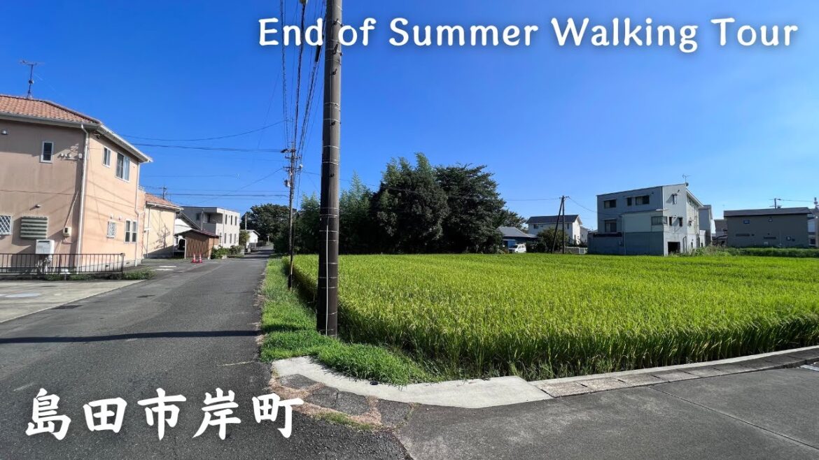 【4K】島田市岸町 Part2- End of Summer Walking Tour / Countryside / Japan / DJI Pocket 2 【4K】島田市岸町 Part2- End of Summer Walking Tour / Countryside / Japan / DJI Pocket 2