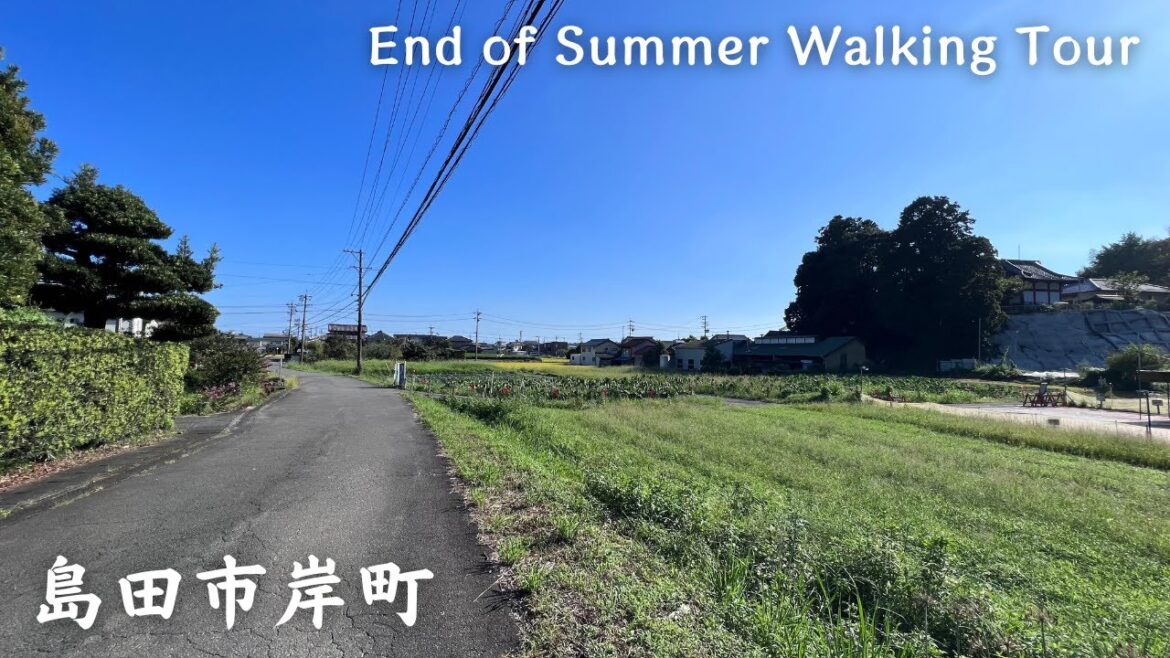 【4K】島田市岸町 Part3- End of Summer Walking Tour / Countryside / Japan / DJI Pocket 2 【4K】島田市岸町 Part3- End of Summer Walking Tour / Countryside / Japan / DJI Pocket 2