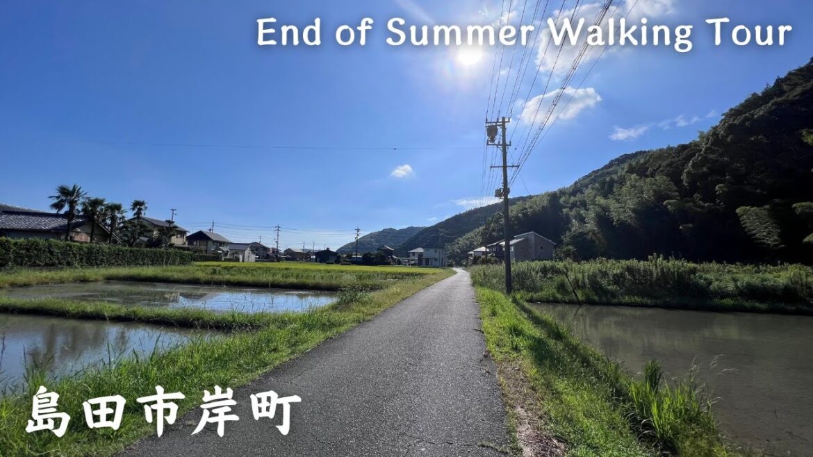 【4K】島田市岸町 Part4- End of Summer Walking Tour / Countryside / Japan / DJI Pocket 2 【4K】島田市岸町 Part4- End of Summer Walking Tour / Countryside / Japan / DJI Pocket 2