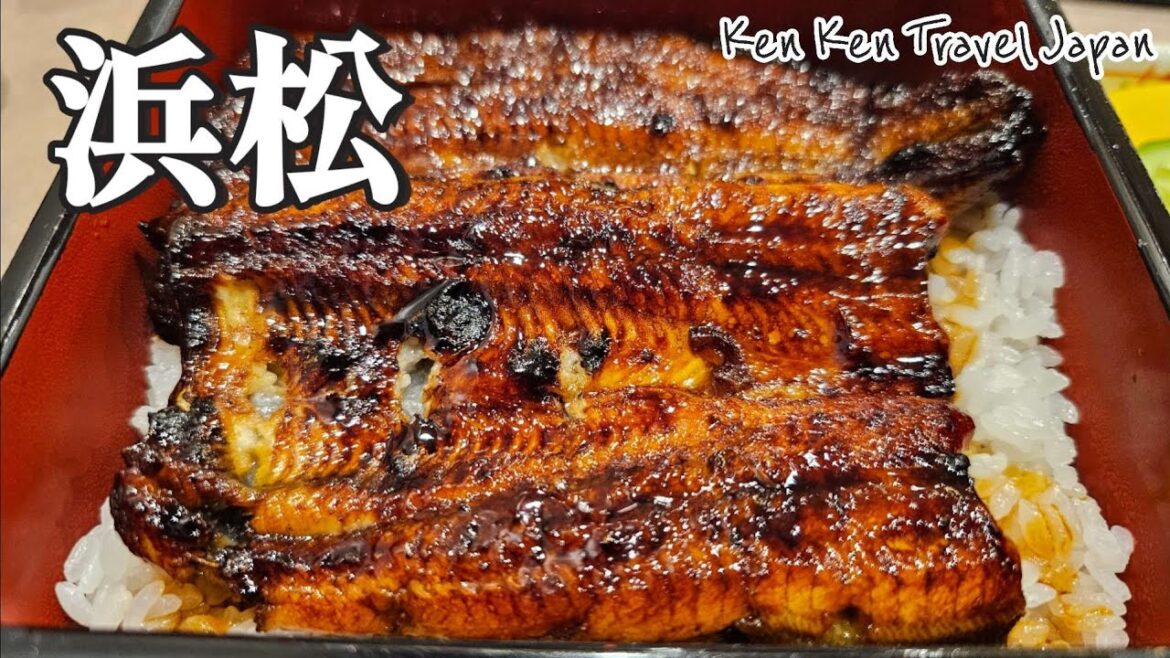 【浜松】浜名湖うな重 浜松餃子 さわやかハンバーグ  １人旅