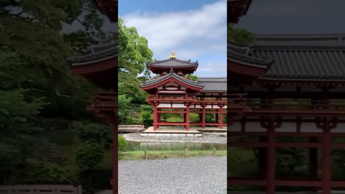 #kyoto #traveljapan #japan #temples #shortvideo #viral