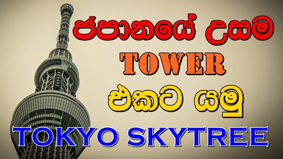 TOKYO SKYTREE | ජපානයේ උසම Tower එකට යමු | SINHALA | VLOG#11