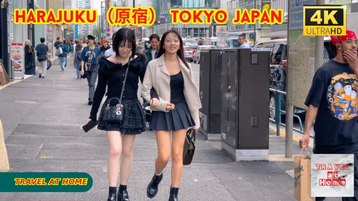 4k hdr japan travel | Walk in Harajuku（原宿）Tokyo japan |  Relaxing Natural City ambience