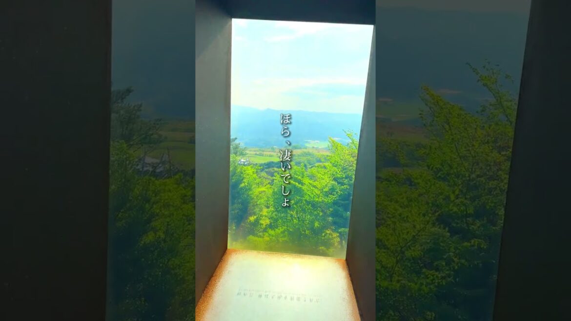 【鹿児島絶景】知る人ぞ知る鹿児島の絶景スポット#shorts