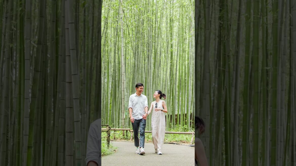 【Surprise proposal】I was following them to Bamboo forest Kyoto, Japan!! 【Surprise proposal】I was following them to Bamboo forest Kyoto, Japan!!