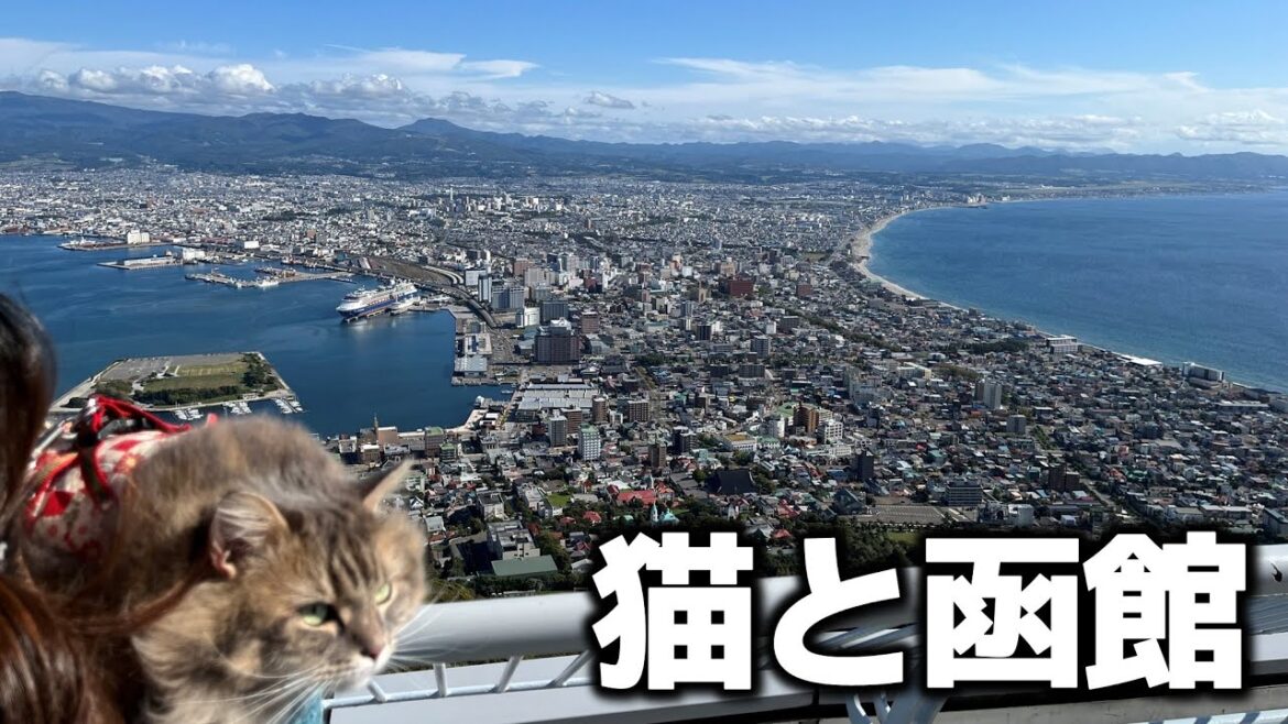 【北海道】函館の人気観光スポット巡りと絶品グルメを満喫！【道南ドライブ】