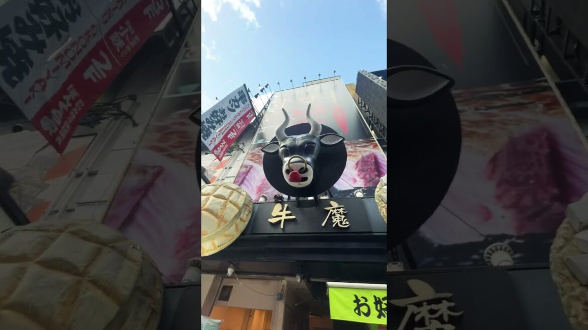 "Exploring Osaka's Vibrant Heart: Shinsaibashi Shopping District - Unveiling Urban Delights!"