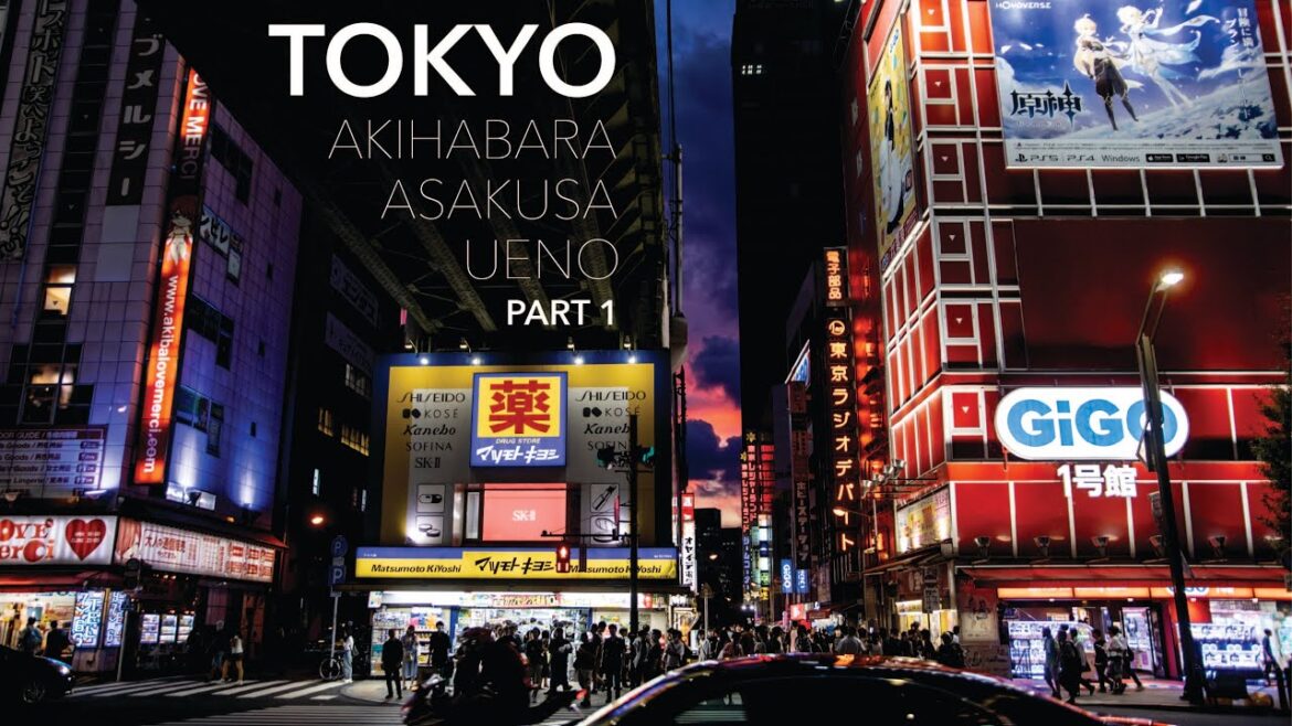 Akihabara, Asakusa, Ueno || Tokyo Travel Vlog (Part 1) Akihabara, Asakusa, Ueno || Tokyo Travel Vlog (Part 1)