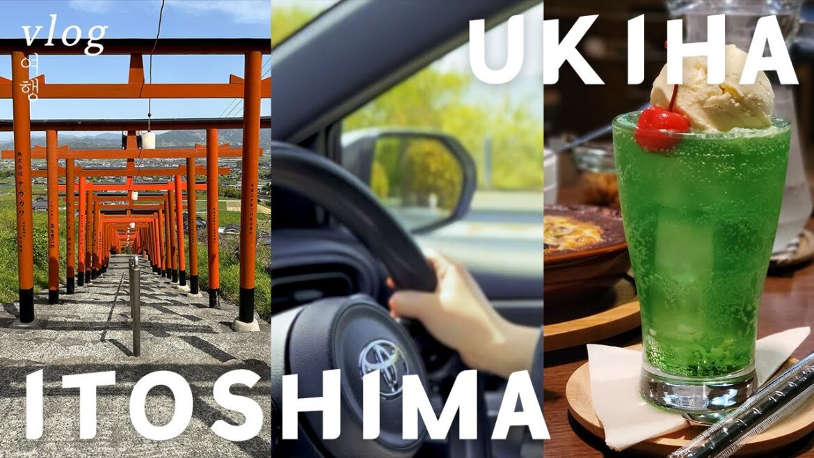 [Vlog] 우키하,이토시마 드라이브 & 소식좌들이 오므라이스 먹고 디저트로 야키니꾸 먹은 사연 | 후쿠오카여행 필수템 & 비용 알려드림 | 후쿠오카 3박 4일 여행 브이로그 3편