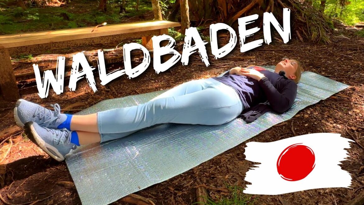 Waldbaden (und mehr) in größten Zypressenwald Japans