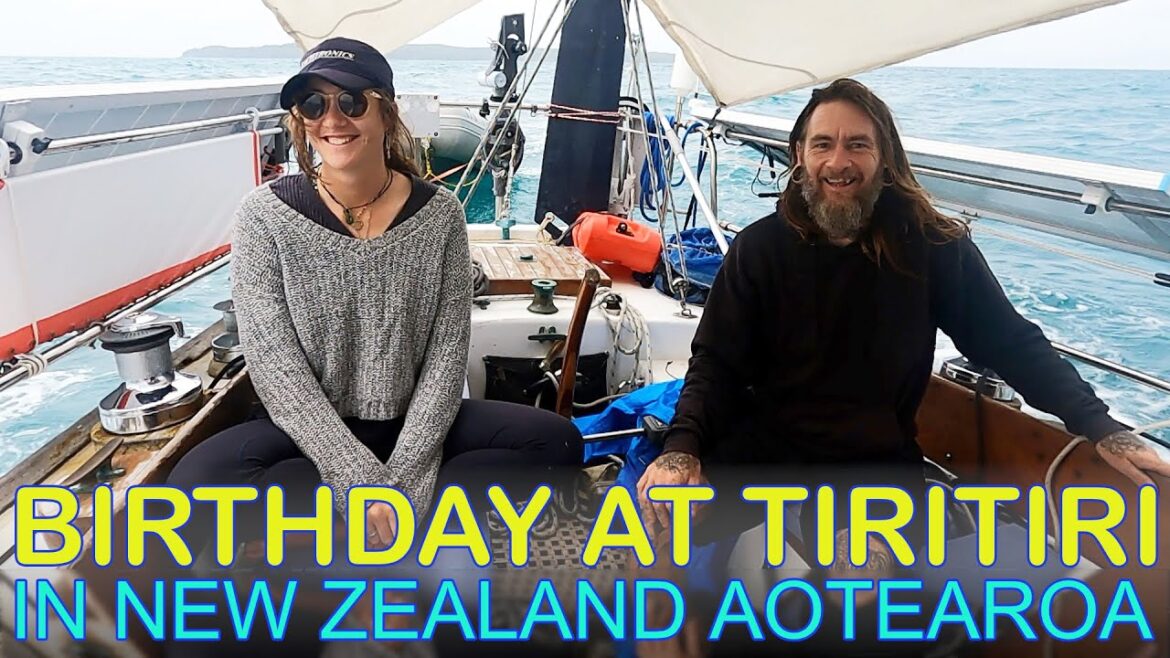 A Lovely Birthday Sail to Tiritiri Island with Zhané to See it’s Many Birds A Lovely Birthday Sail to Tiritiri Island with Zhané to See it's Many Birds