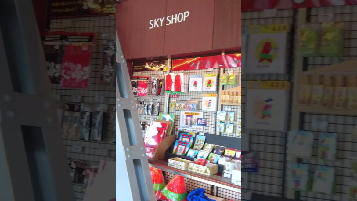 View From Sapporo TV Tower #japan #discoverjapan View From Sapporo TV Tower #japan #discoverjapan