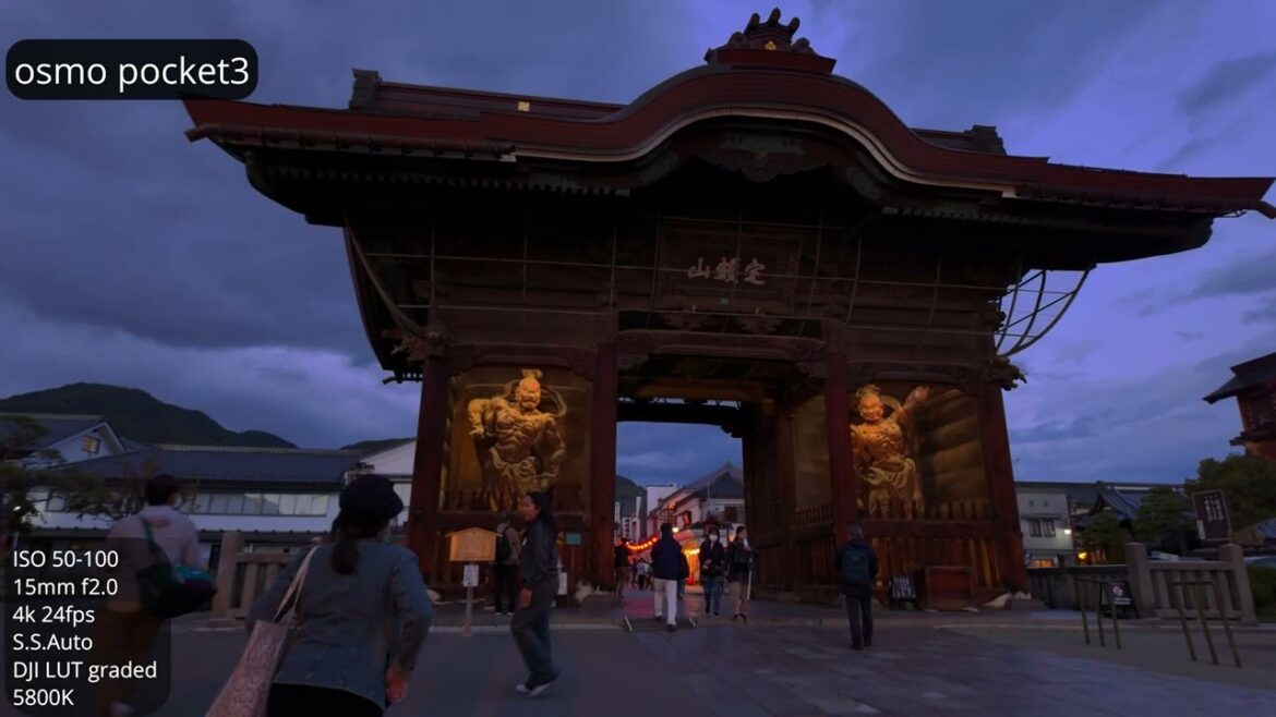 【作例】DJI Osmo Pocket3, Gopro10, Xperia pro-i, a7iv 動画性能比較！［善光寺］Camera comparison at Zenkoji Temple