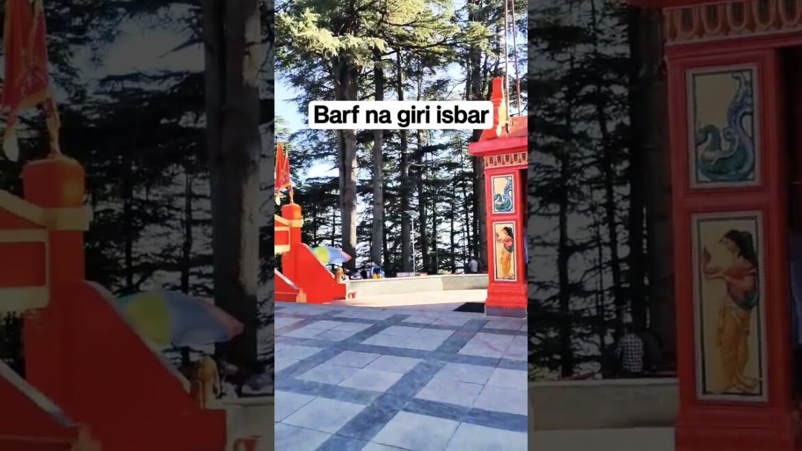 ice @CracksKanpur @WORKOUTBody @lilpumpeskii #shorts #trending #crackskanpur