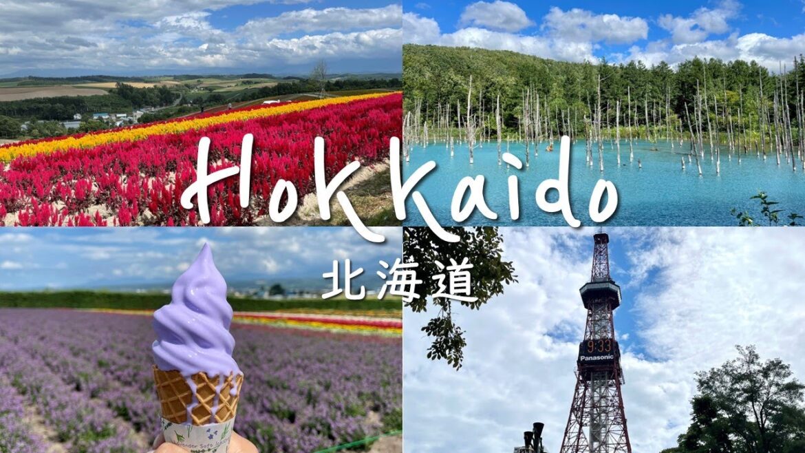 Hokkaido/Sapporo Travel Video | 홋카이도/삿포로 여행영상 | Liz Music