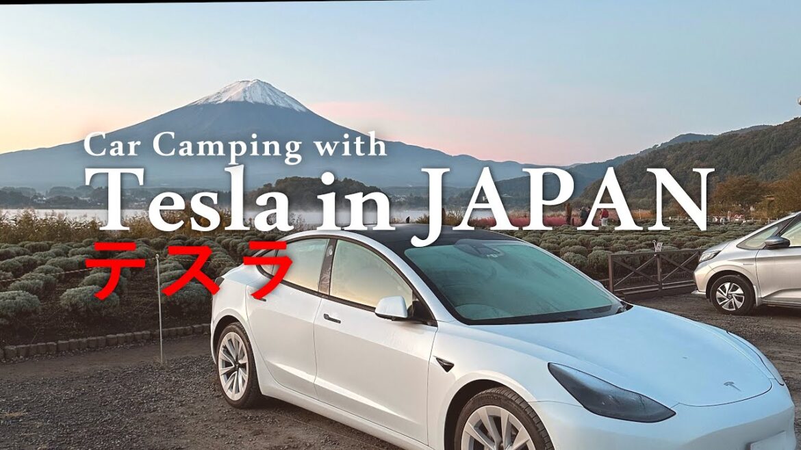 [4K] Tesla Model 3 Car Camping in JAPAN | Relaxing Mt. Fuji View ｜テスラモデル3
