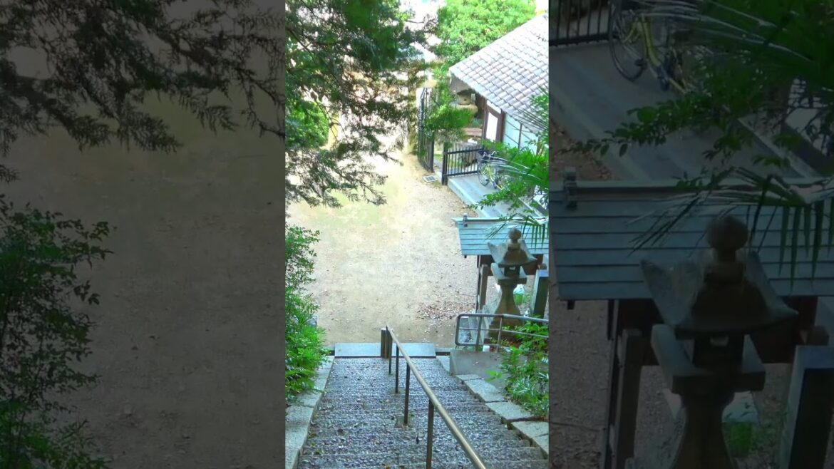 [shorts] Walk around Taiheiji in Kashiwara City - Osaka - 4 #shorts #walking #japantravel