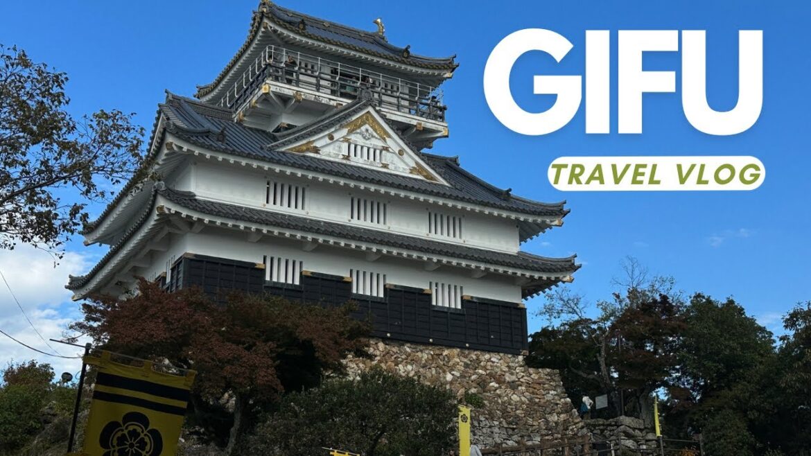 GIFU VLOG- Ft. @atithi68 ♥️✨| Hiking Experience in JAPAN 🇯🇵 | GIFU VLOG- Ft. @atithi68 ♥️✨| Hiking Experience in JAPAN 🇯🇵 |
