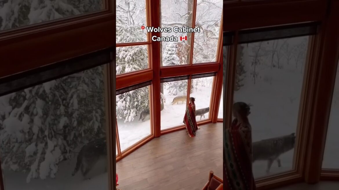 🤩✨ Most Beautiful Hotels in World! 🌎🗺#nature #travel #explore #vacation #adventure