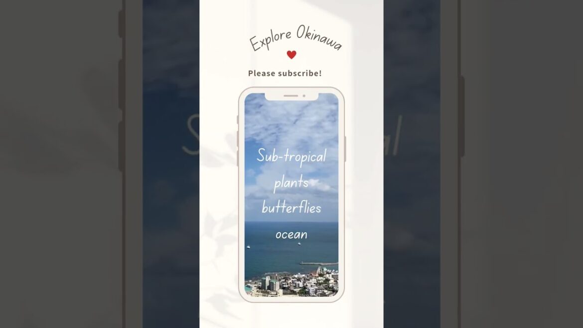 Explore Okinawa|Ozaro Catsle Ruins Park #okinawa #travel #japaneseisland #okinawajapan #vlog