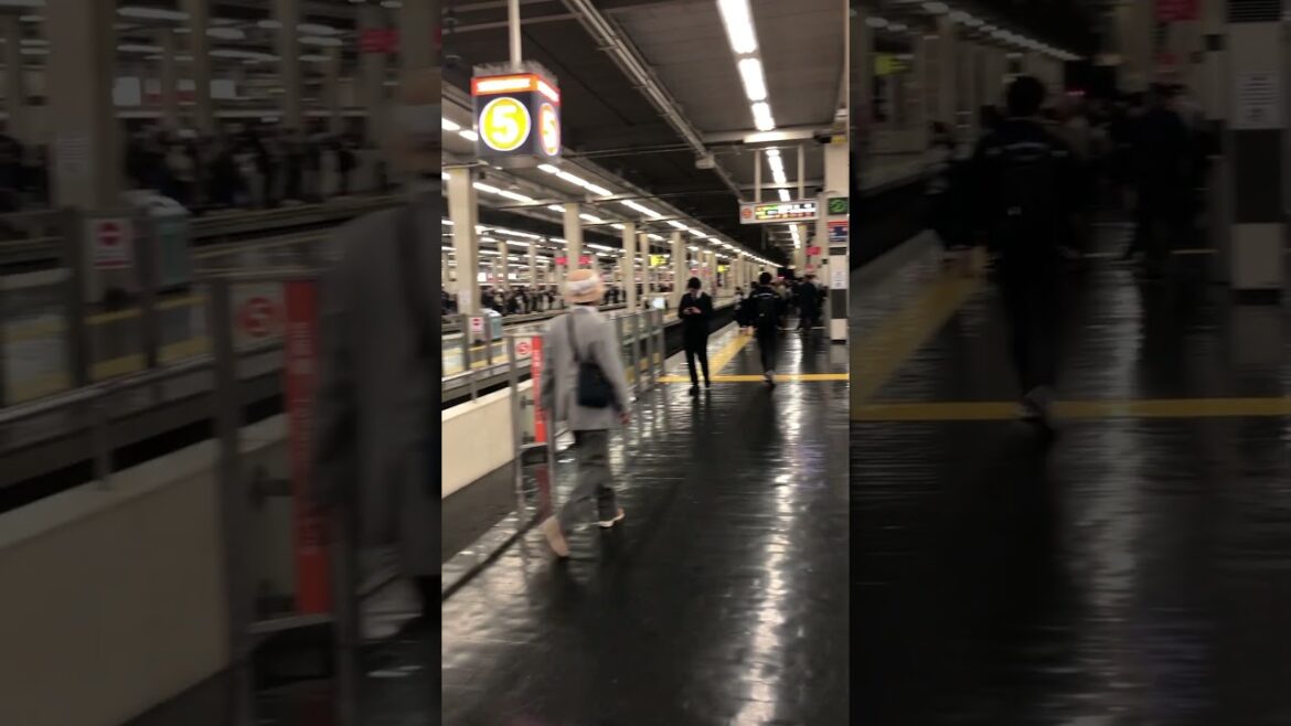 【OSAKA】Big Hankyu Umeda Station - 10/30