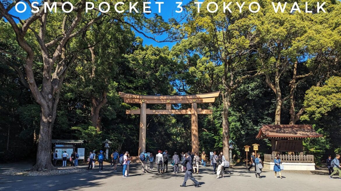 DJI Osmo Pocket 3 in Tokyo - First Impressions - Shibuya, Yoyogi Park, Harajuku and Omotesando Walk