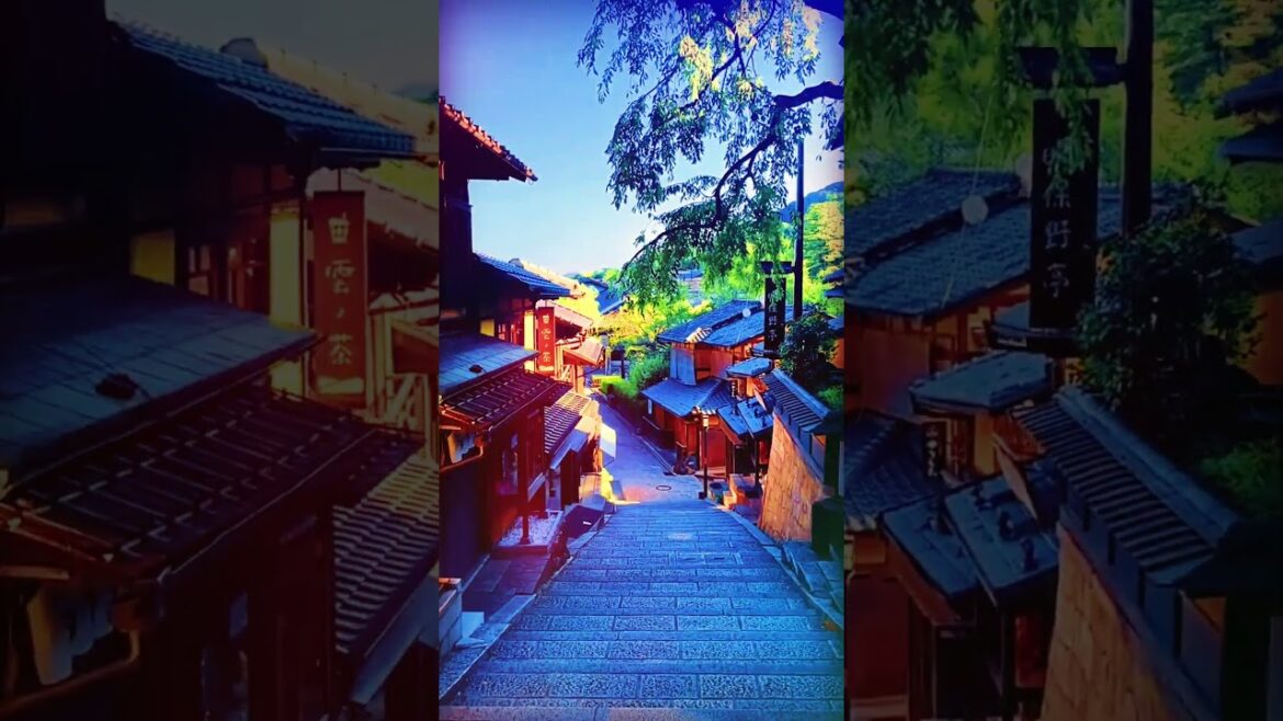 𝖡𝖾𝖺𝗎𝗍𝗂𝖿𝗎𝗅 𝗌𝗅𝗈𝗉𝖾 #kyoto #japan #kyototrip | الميول الجميل كيوتو اليابان