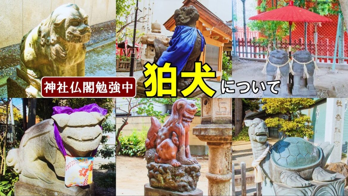 【神社仏閣勉強中】御朱印巡りで出会った気になる狛犬[日本の神社仏閣旅]