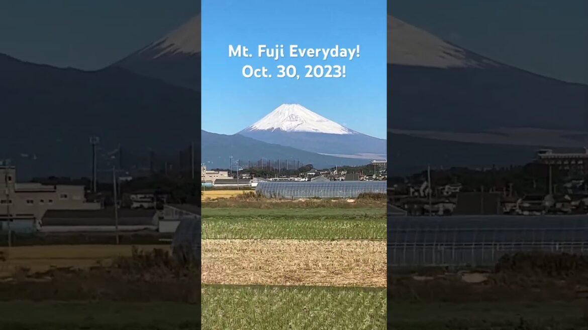 009 Mount Fuji everyday! 2023, 10/30 Very clear and SNOW! #fuji #japan 009 Mount Fuji everyday! 2023, 10/30 Very clear and SNOW! #fuji #japan