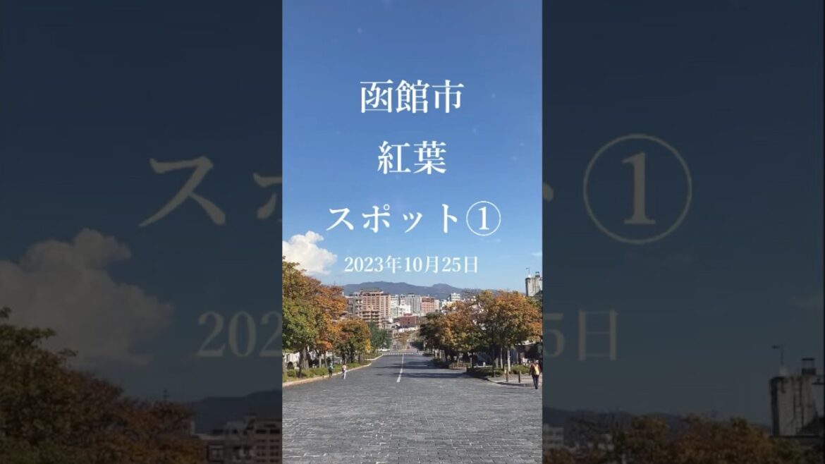 【前編】函館の紅葉状況をお伝えします。2023年10月25日現在 #函館 #hakodate #紅葉 #autumnleaves