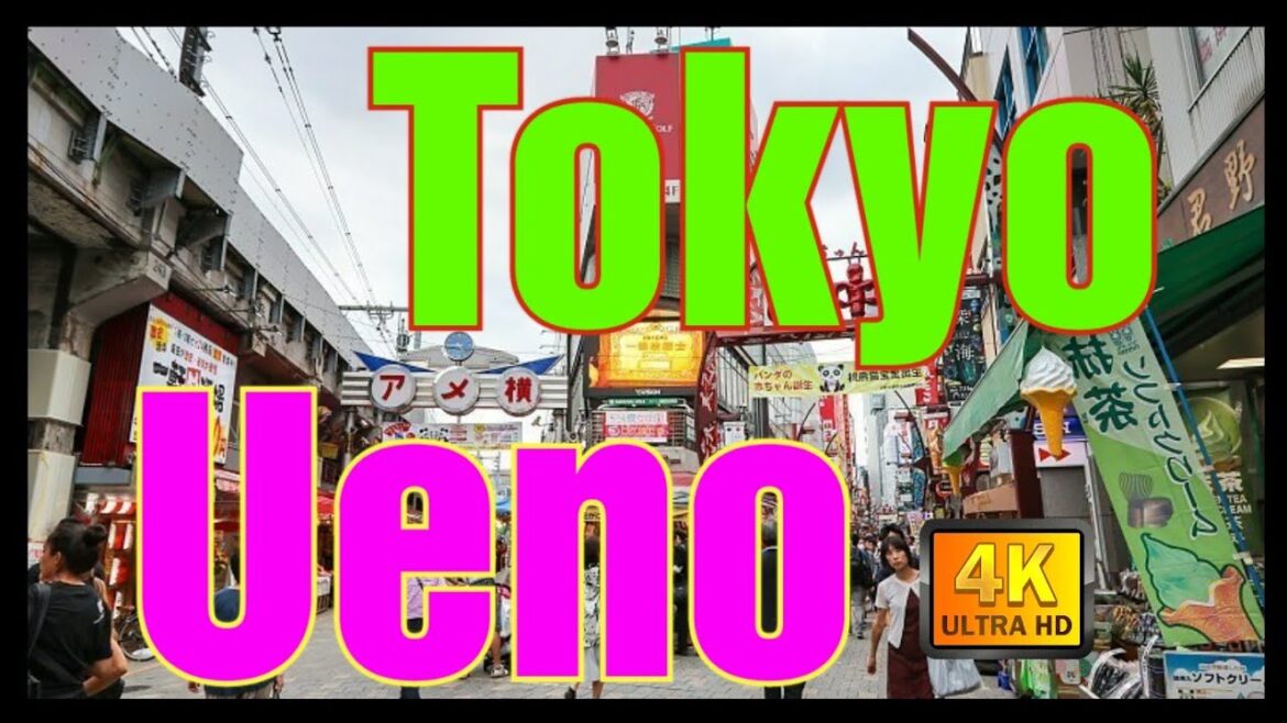 【4K】Japan Walk - Tokyo ,December  2020, Ueno ,Ameyoko (アメ横) #Japan #Tokyo # Ueno