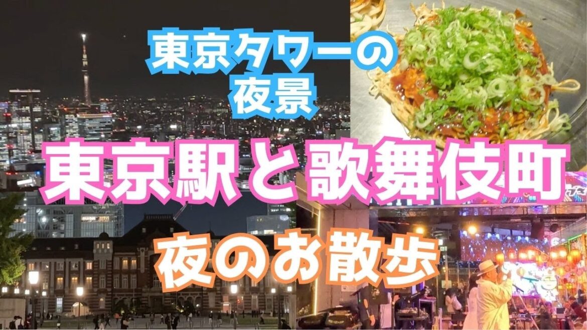 【東京観光】東京タワーと夜の歌舞伎町を観光したら凄すぎた!東京の美しい夜景や夜の東京駅と新宿駅もご紹介! 【東京観光】東京タワーと夜の歌舞伎町を観光したら凄すぎた!東京の美しい夜景や夜の東京駅と新宿駅もご紹介!