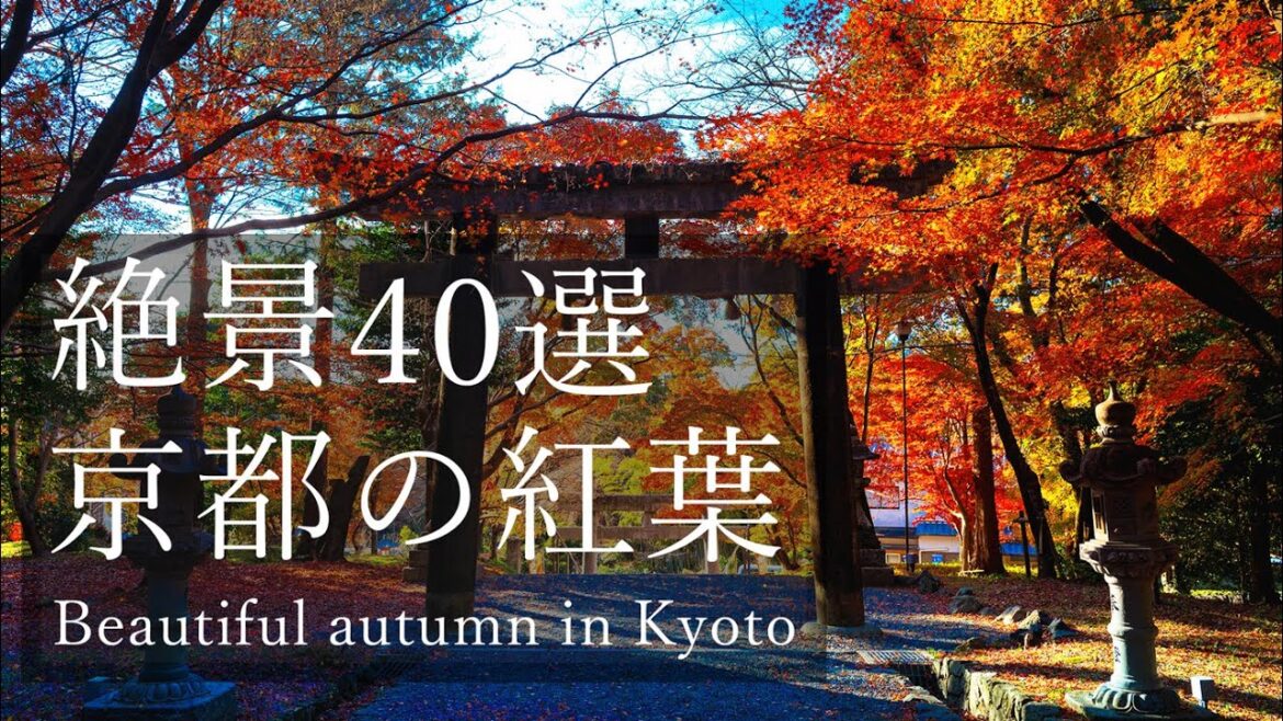 【Trip to Kyoto】Autumn in Kyoto 40 selections｜京都の秋 2022｜4K｜Kyoto Autumn leaves